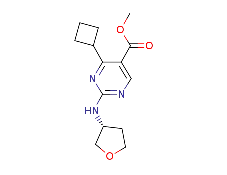 (R)-methyl 4-cyclobutyl-2-(tetrahydrofuran-3-ylamino)pyrimidine-5-carboxylate