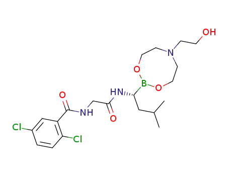 N-(R)-(2-((1-(6-(2-hydroxyethyl)-1,3,6,2-dioxazaborocan-2-yl)-3-methylbutyl)amino)-2-oxoethyl)-2,5-dichlorobenzamide