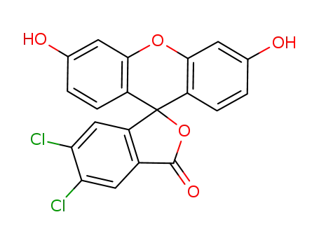 5,6-dichlorofluorescein