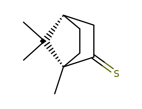 Molecular Structure of 7519-74-6 (thiocamphor)