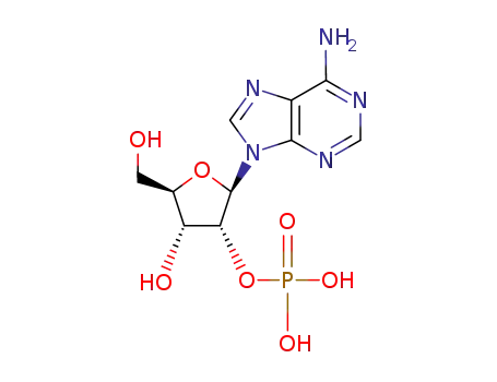 Molecular Structure of 130-49-4 (ADENOSINE 2' -& 3'-MONOPHOSPHATE FREE)