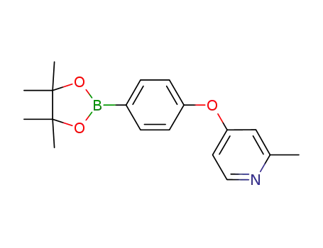 4-[4-(4,4,5,5-tetramethyl[1,3,2]dioxaborolan-2-yl)phenoxy]-2-methylpyridine