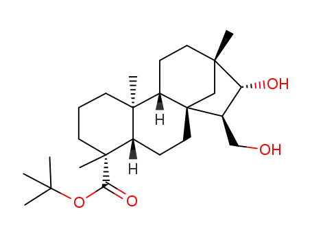 t-butyl ent-15α-hydroxymethyl-16β-hydroxybeyeran-19-oate