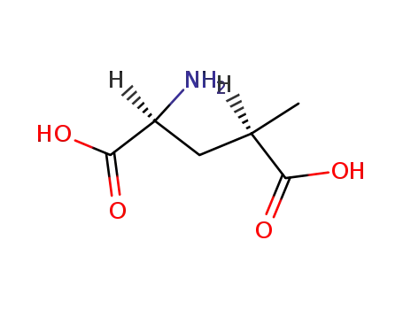 Molecular Structure of 31137-74-3 ((2S,4R)-4-METHYLGLUTAMIC ACID)