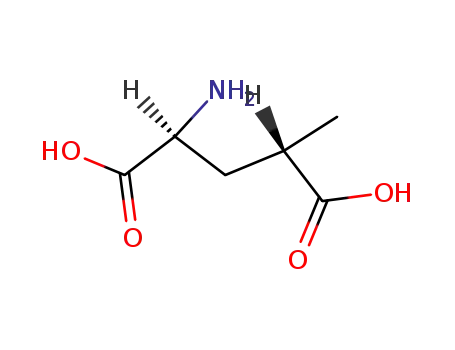 Molecular Structure of 6141-27-1 ((2S,4S)-4-METHYLGLUTAMIC ACID)