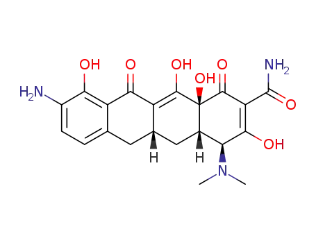 Amicycline