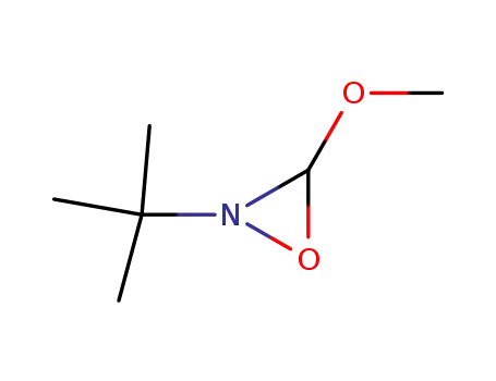 2-tert-butyl-3-methoxy-oxaziridine