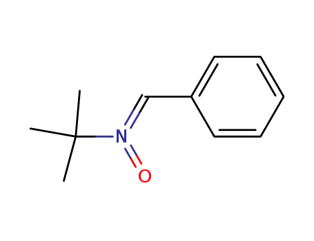 (Z)-N-benzylidene-2-methylpropan-2-amine oxide