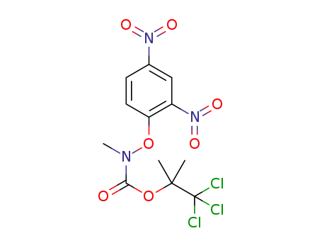 1,1,1-trichloro-2-methylpropan-2-yl (2,4-dinitrophenoxy)(methyl)carbamate