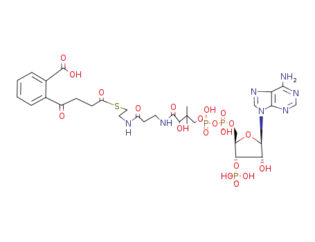 2-[4-[2-[3-[[4-[[[5-(6-Aminopurin-9-yl)-4-hydroxy-3-phosphonooxyoxolan-2-yl]methoxy-hydroxyphosphoryl]oxy-hydroxyphosphoryl]oxy-2-hydroxy-3,3-dimethylbutanoyl]amino]propanoylamino]ethylsulfanyl]-4-oxobutanoyl]benzoic acid