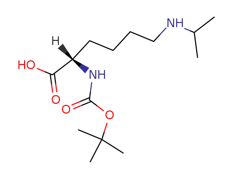 Molecular Structure of 66880-55-5 (N-α-Boc-N-ε-isopropyl-L-lysine)