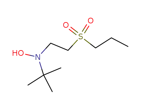 2-(N-tert-butylhydroxyamino)-1-(propylsulfonyl)ethane