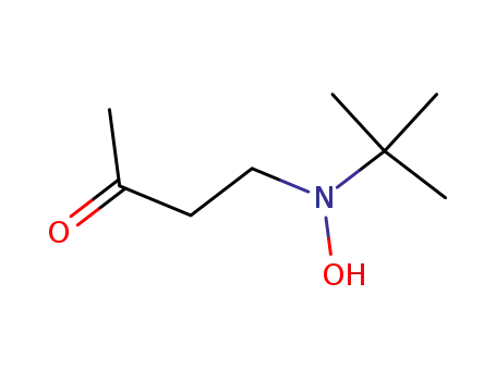 <2-(tert-Butylhydroxyamino)ethyl>methylketon