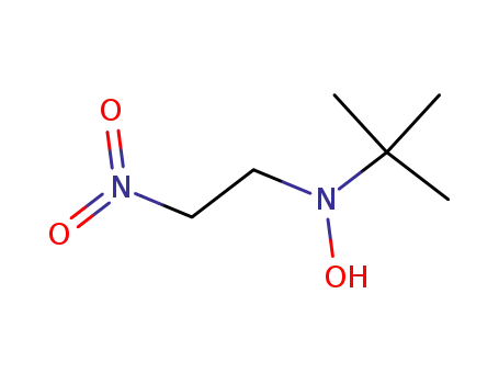 N-tert-Butyl-N-(2-nitroethyl)hydroxylamin