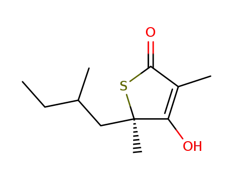 4-hydroxy-3,5-dimethyl-5-(2-methyl-butyl)-5H-thiophen-2-one