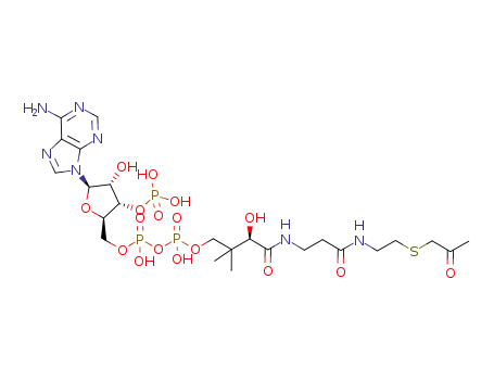 Molecular Structure of 75179-85-0 (acetonyl-coenzyme A)