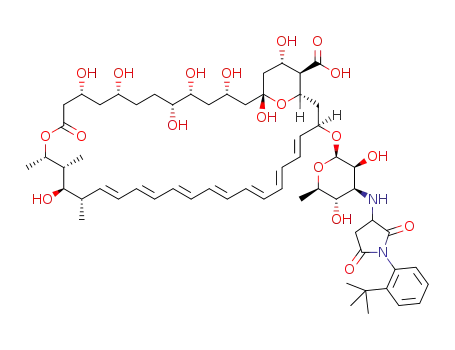 N-(N-2-tert-butylphenylsuccinimidyl)-amphotericin B