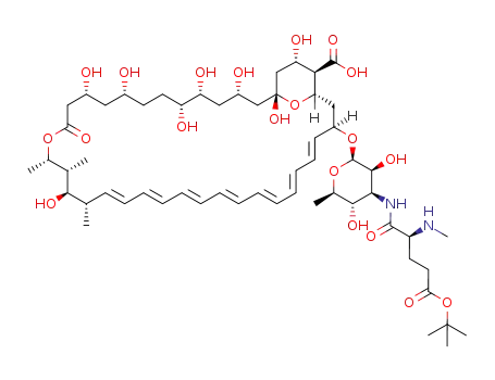 N-(N-methyl-Oγ-tert-butyl-L-glutamyl)amphotericin B