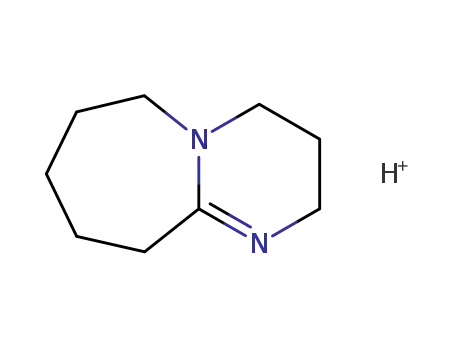 1,8-diazabicyclo[5.4.0]undec-7-ene cation