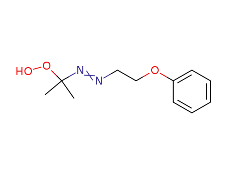Molecular Structure of 87841-77-8 (Hydroperoxide, 1-methyl-1-[(2-phenoxyethyl)azo]ethyl)