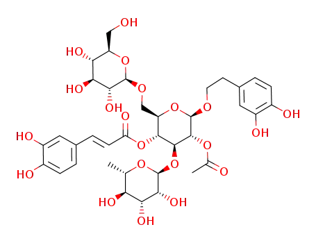 2-(3,4-dihydroxyphenyl)-ethyl O-α-L-rhamnopyranosyl-(1->3)-O-[β-D-clucopyranosyl-(1->6)]-2-O-acetyl-4-O-[(E)-caffeoyl]-β-D-glucopyranoside
