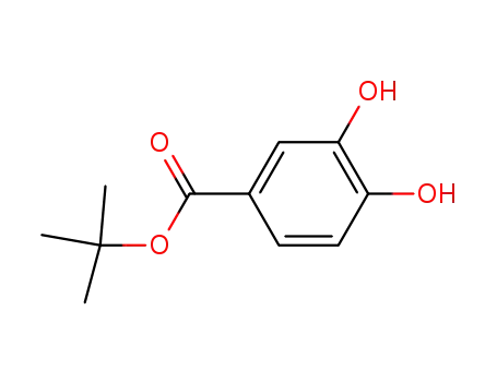 3,4-dihydroxy-benzoic acid tert-butyl ester