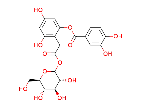 glucopyranosyl 2-O-(3,4-dihydroxybenzoyl)-2,4,6-trihydroxyphenylacetate