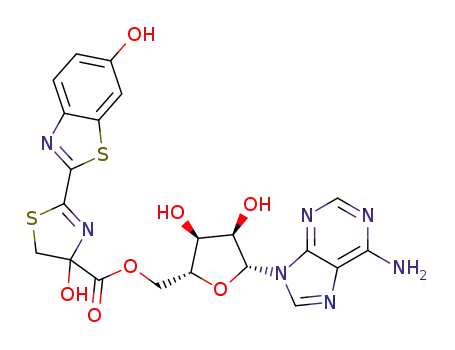 4-hydroxyluciferyl adenylate