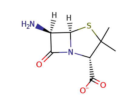 6-aminopenicillinate