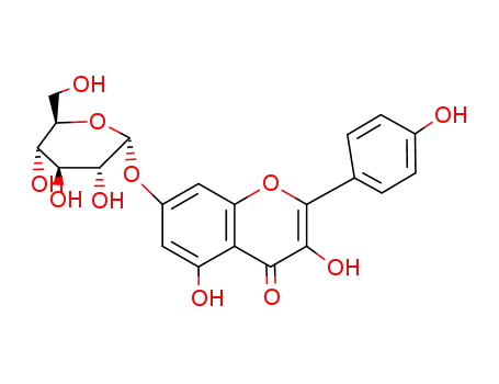 kaempferol 7-α-O-glucoside