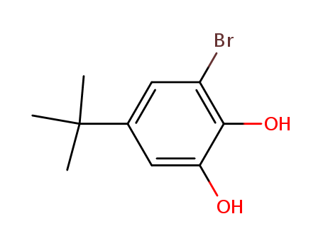 3-bromo-5-tert-butylbenzene-1,2-diol(SALTDATA: FREE)