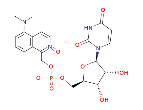 uridine 5'-(5-dimethylamino-2-oxidoisoquinolin-1-yl)methylphosphate