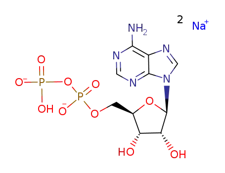 adenosine 5'-diphosphate, disodium salt
