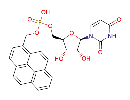 1-pyrenylmethyl uridine-5'-phosphate