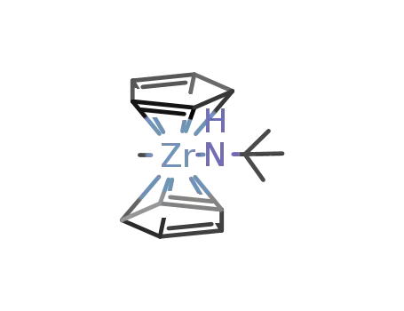 Zr(η5-C5H5)2CH3(NHC(CH3)3)