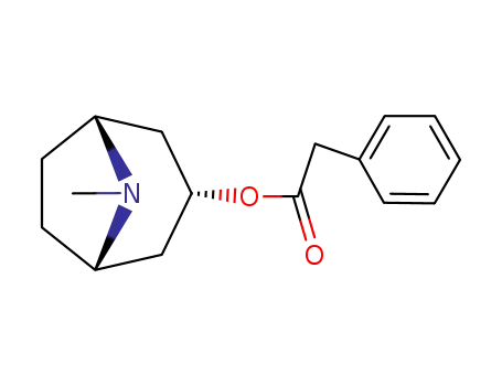 Molecular Structure of 1690-22-8 (3α-Phenylacetoxy Tropane)