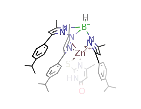 (tris(3-cumenyl-5-methylpyrazolyl)borate)Zn(6-methyl-2-thiouracilate)