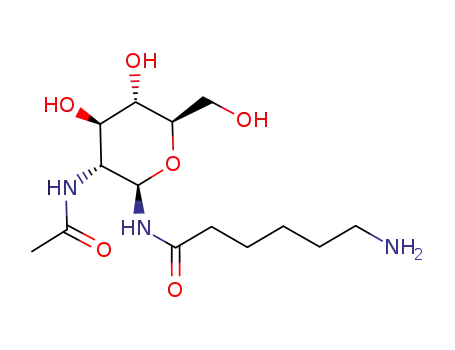 N-1-(ε-aminocaproyl)-β-N-acetyl-2-deoxyglucopyranosyl