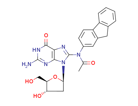 8-(acetyl-9H-fluoren-2-ylamino)-2'-deoxyGuanosine