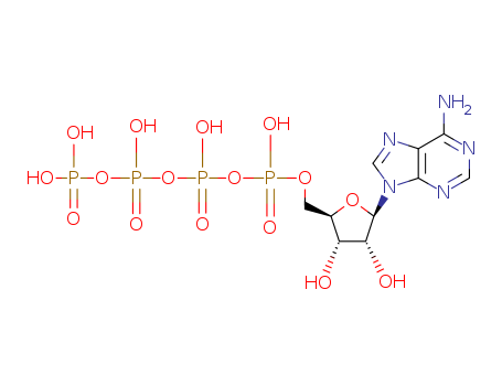 ADENOSINE 5 -(PENTAHYDROGEN TETRAPHOSPHATE) 5 '...