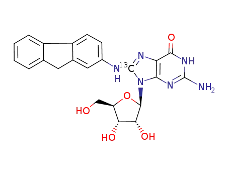 C8-(2-aminofluorenyl)Guo