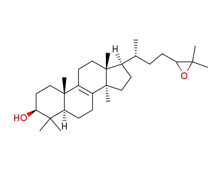Molecular Structure of 18303-41-8 (24,25-oxidolanosterol)