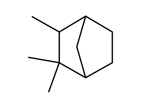 Molecular Structure of 473-19-8 (ISO-CAMPHANE)