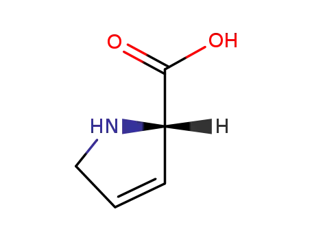 Molecular Structure of 4043-88-3 (3,4-Dehydro-L-proline)