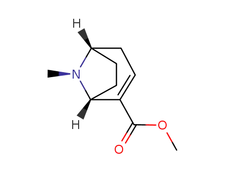 Methylecgonidine