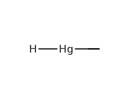 methylhydridomercury(II)