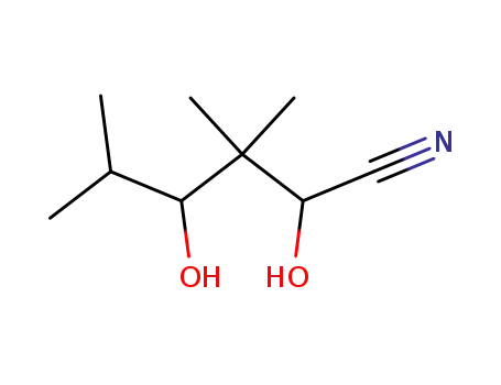 Molecular Structure of 5333-89-1 (2,4-dihydroxy-3,3,5-trimethylhexanenitrile)
