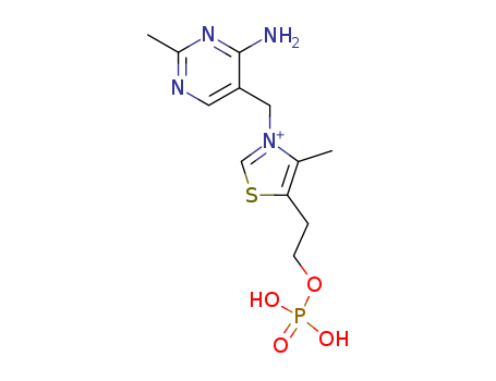 Thiazolium,3-[(4-amino-2-methyl-5-pyrimidinyl)methyl]-4-methyl-5-[2-(phosphonooxy)ethyl]-