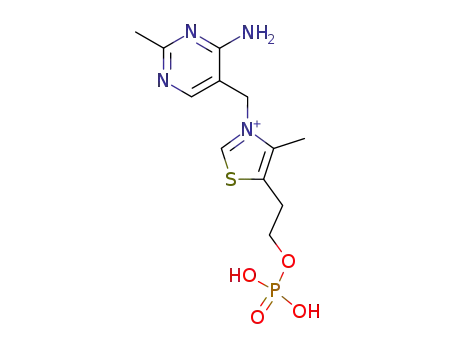 Molecular Structure of 10023-48-0 (3-[(4-Amino-2-methyl-5-pyrimidinyl)methyl]-4-methyl-5-[2-(phosphonooxy)ethyl]thiazolium)