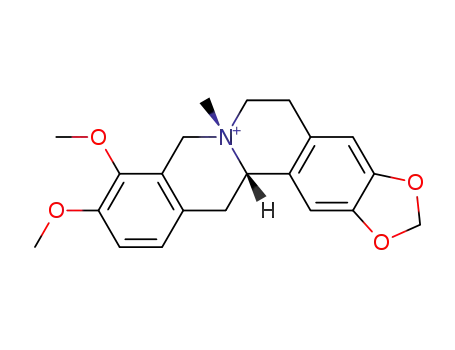Molecular Structure of 47474-49-7 (.Alpha.-Canadine methochloride)